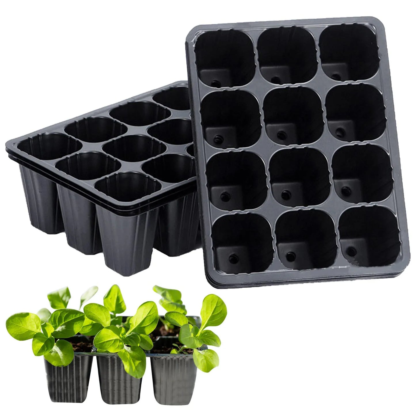12-Hole Vegetable Seedling Tray