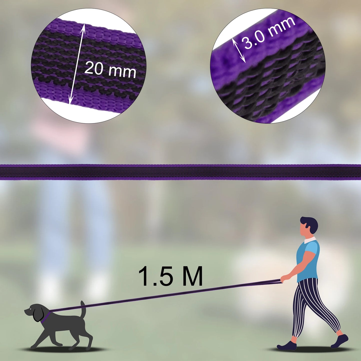 Dual-Color Latex Silk Dog Leash