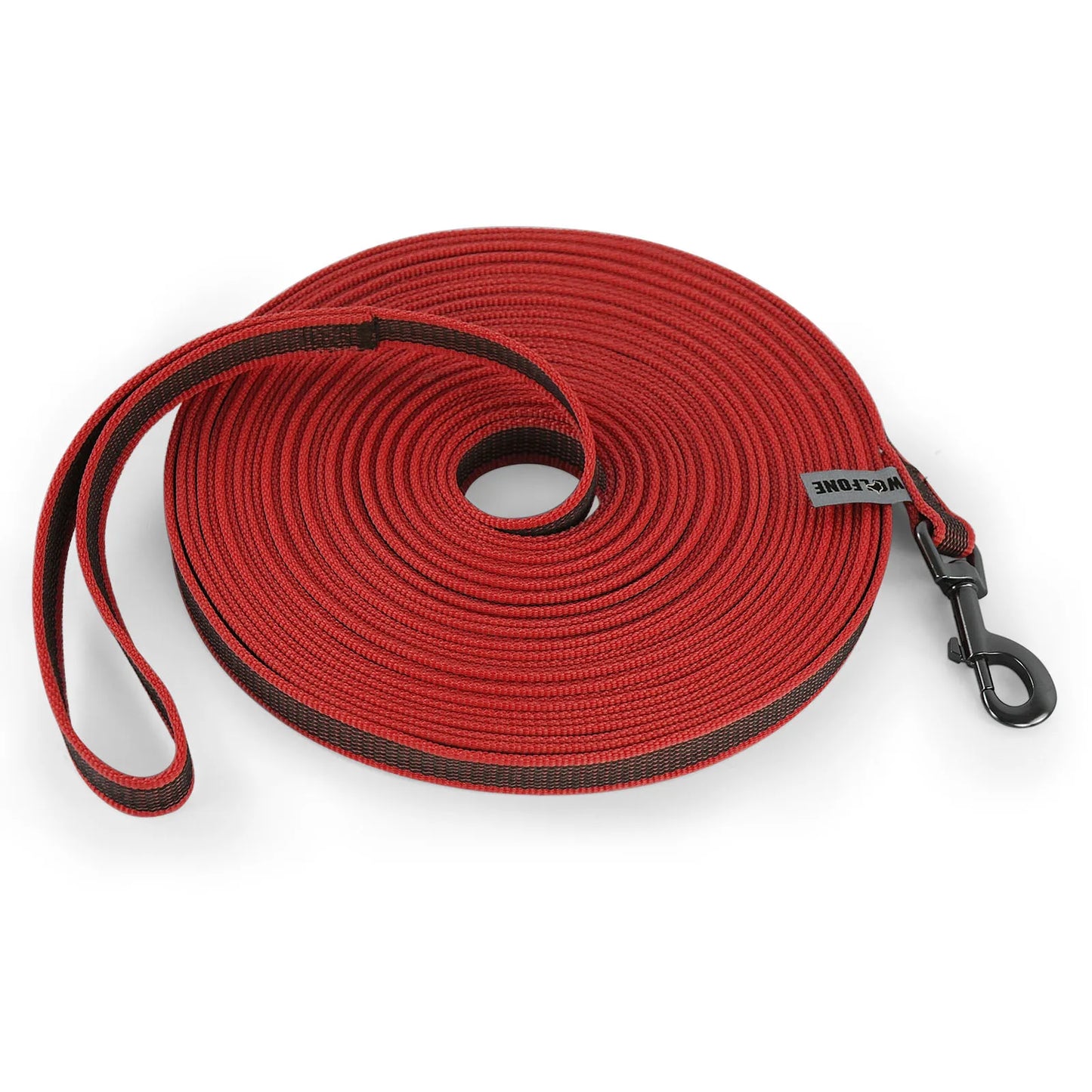 Dual-Color Latex Silk Dog Leash