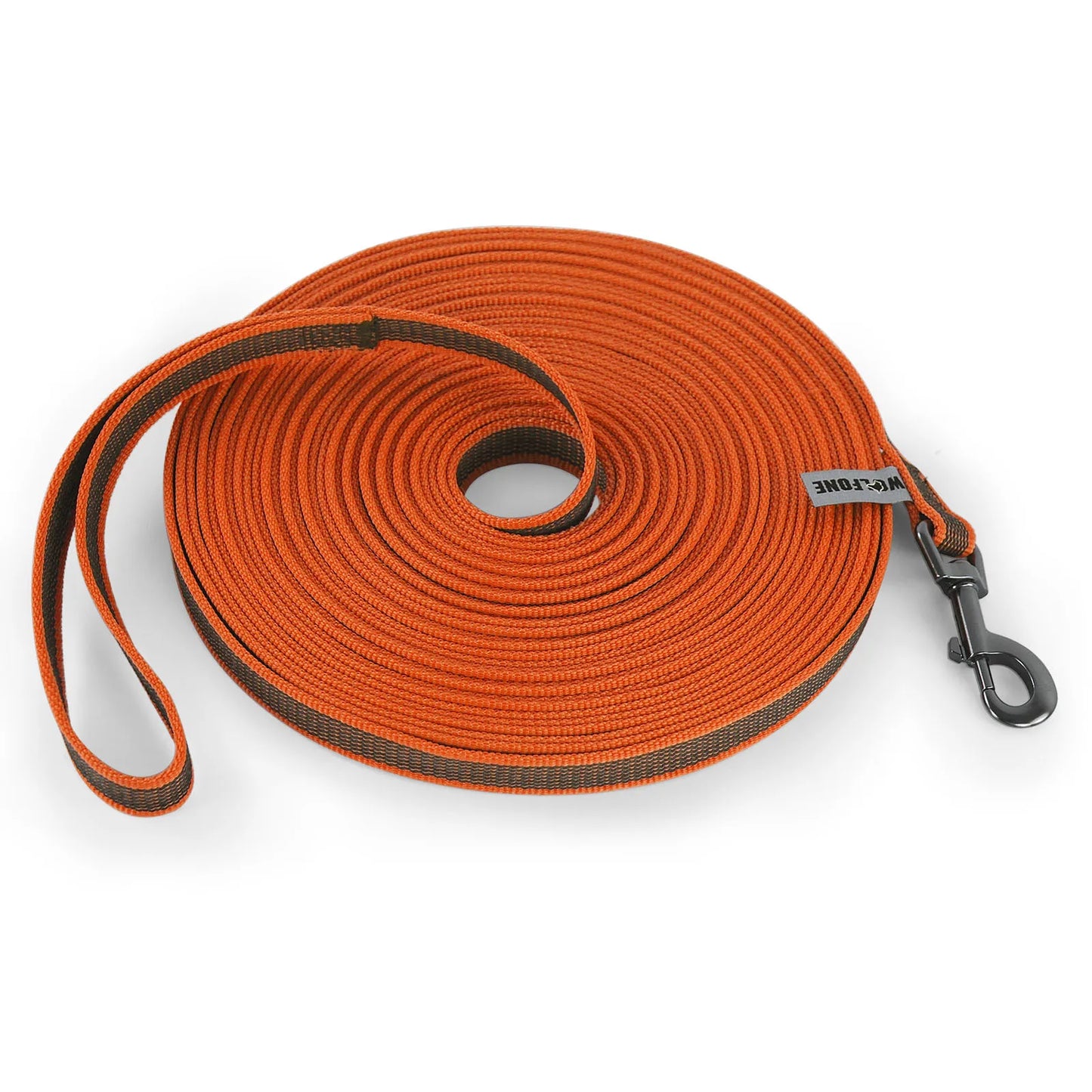 Dual-Color Latex Silk Dog Leash
