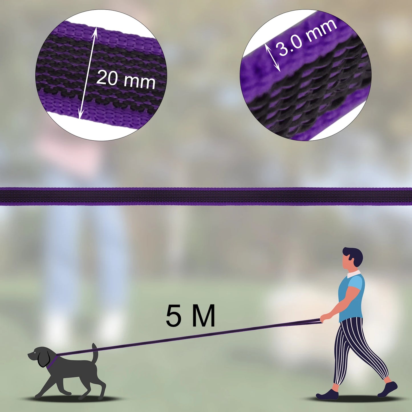Dual-Color Latex Silk Dog Leash