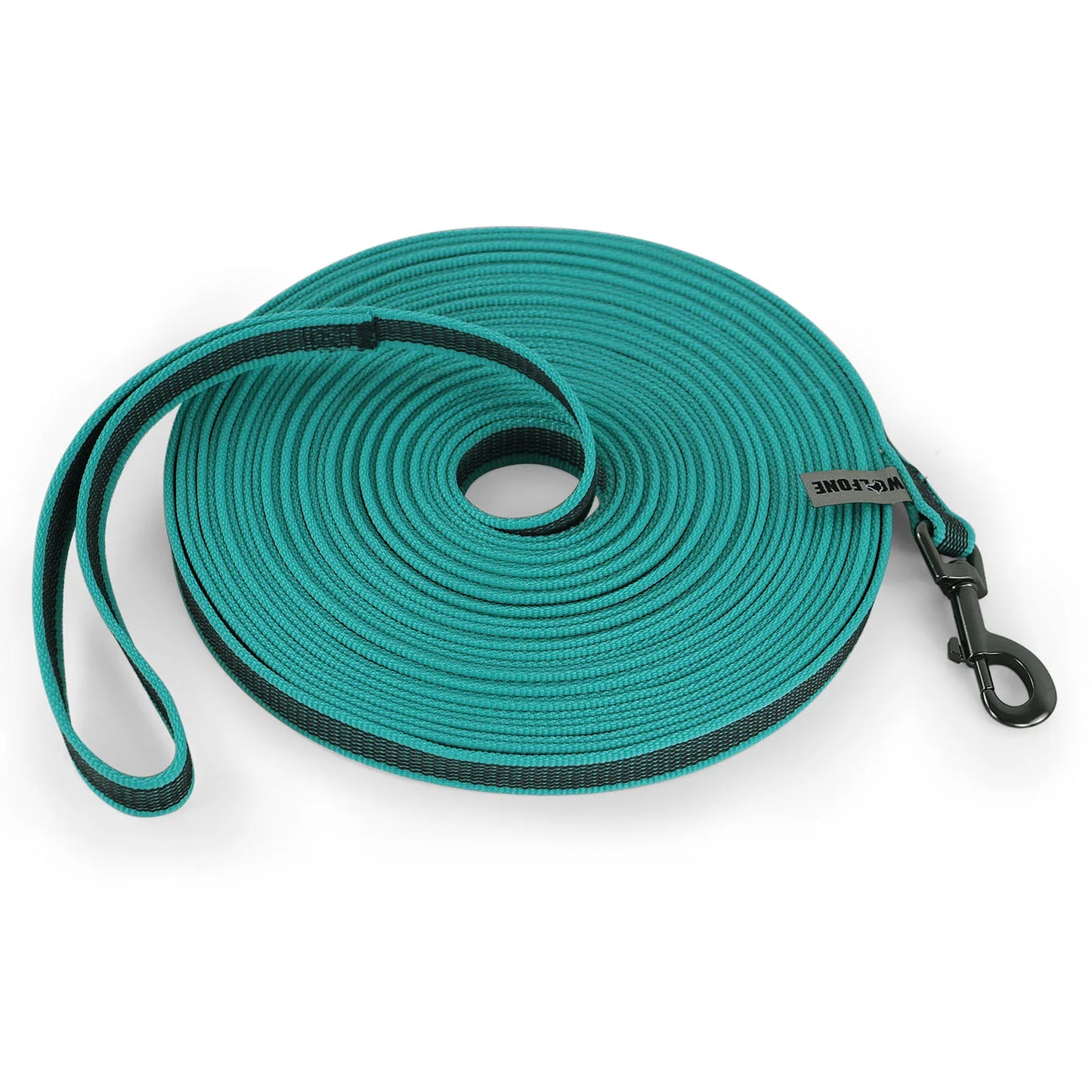 Dual-Color Latex Silk Dog Leash