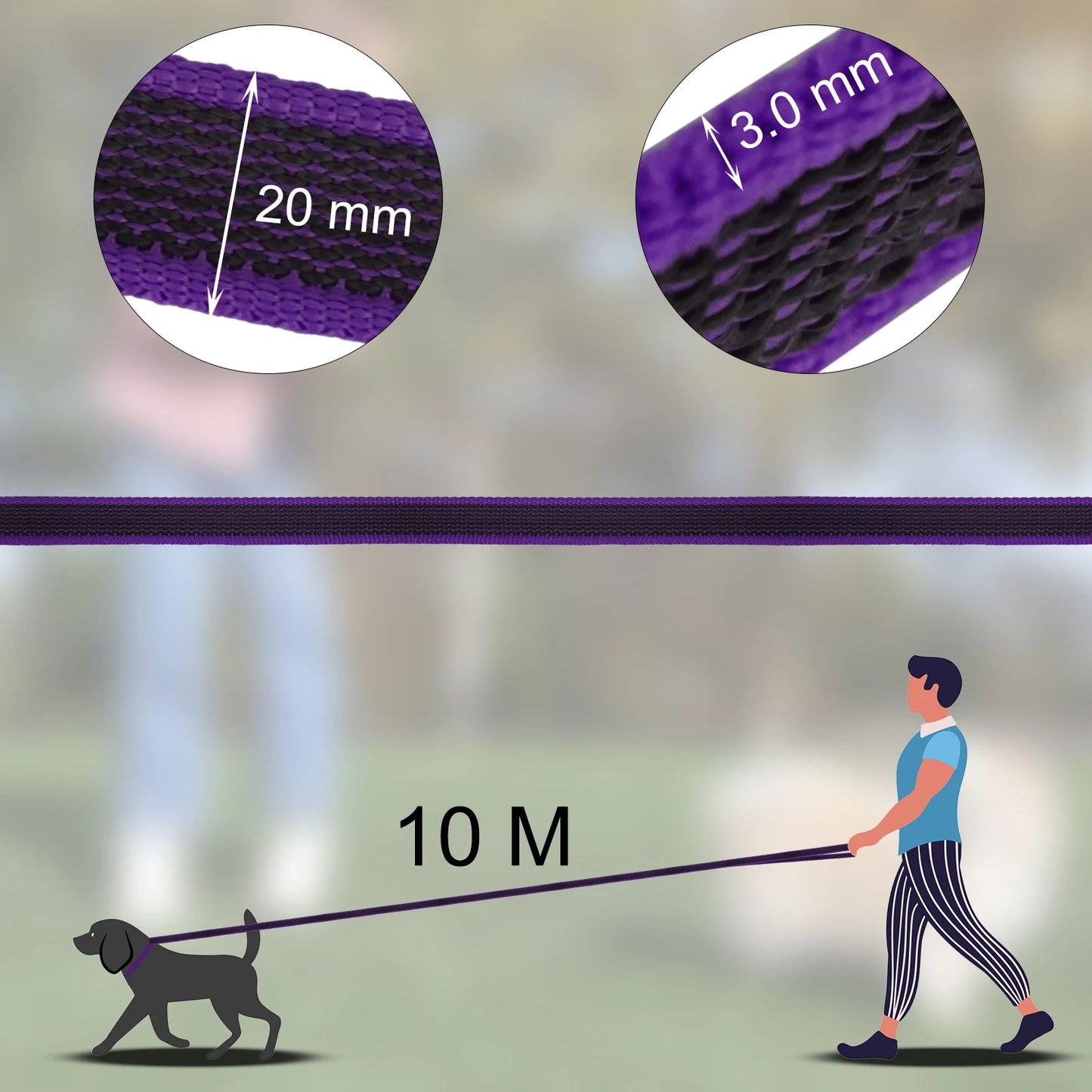 Dual-Color Latex Silk Dog Leash