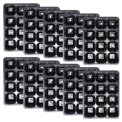 12-Hole Vegetable Seedling Tray