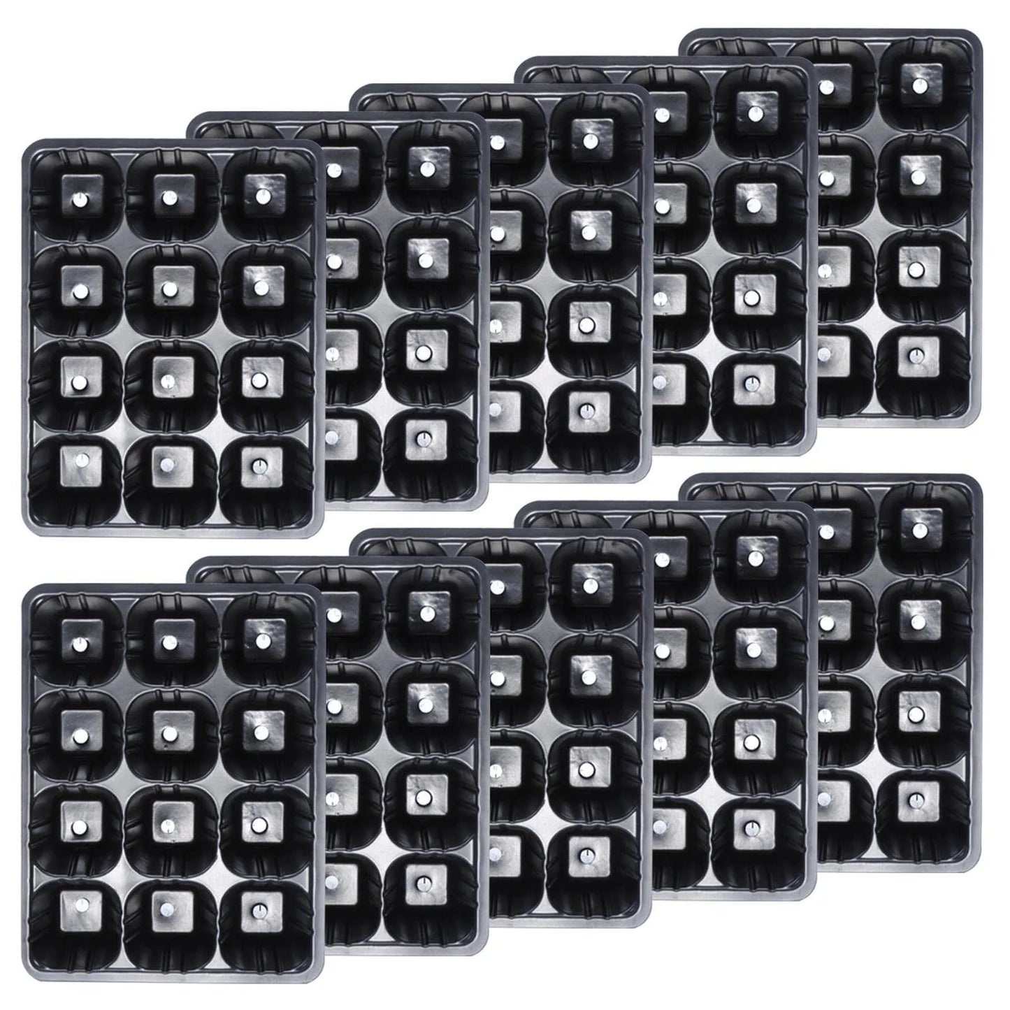 12-Hole Vegetable Seedling Tray