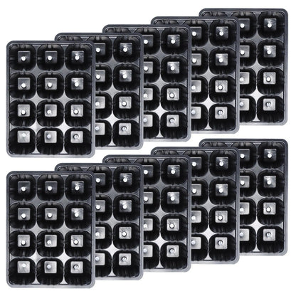 12-Hole Vegetable Seedling Tray