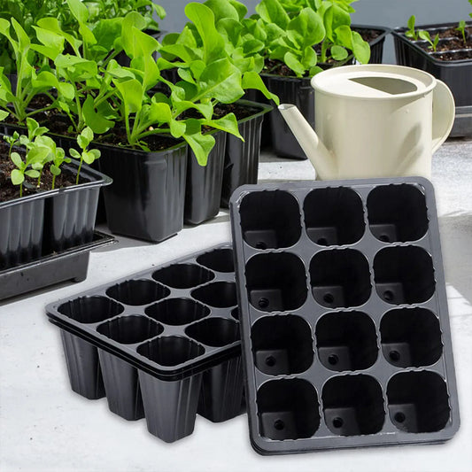 12-Hole Vegetable Seedling Tray