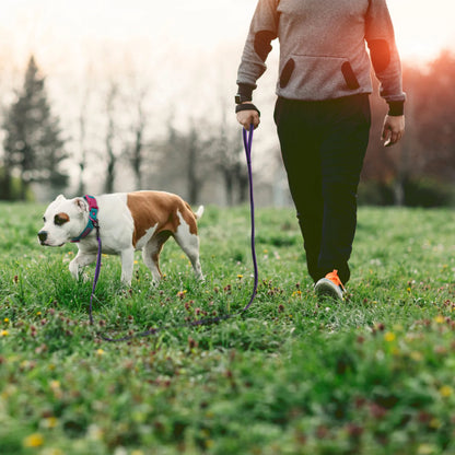 Dual-Color Latex Silk Dog Leash