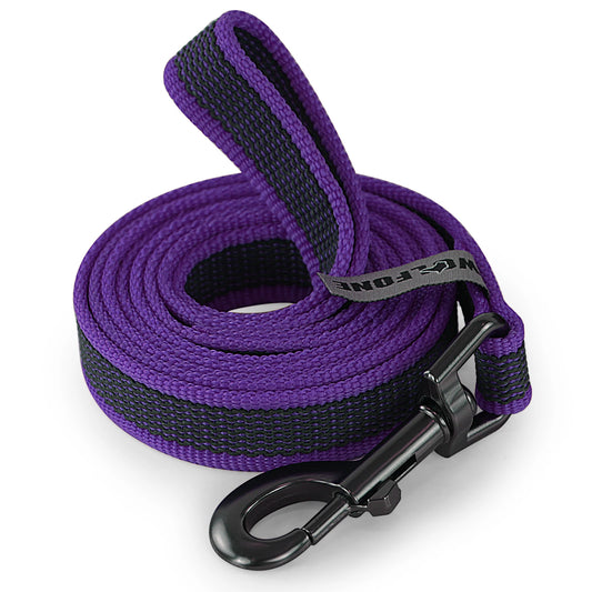 Dual-Color Latex Silk Dog Leash
