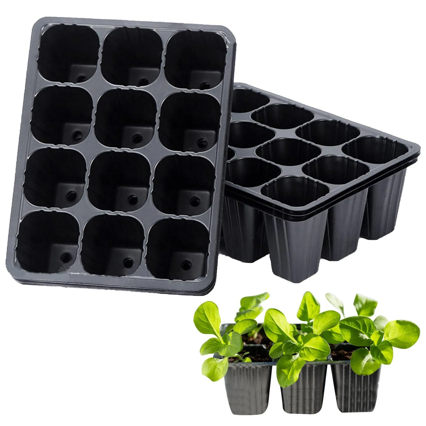 12-Hole Vegetable Seedling Tray