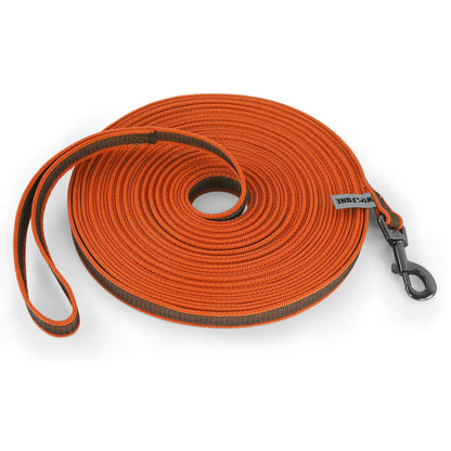 Dual-Color Latex Silk Dog Leash