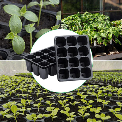12-Hole Vegetable Seedling Tray