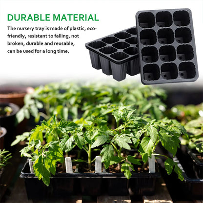 12-Hole Vegetable Seedling Tray