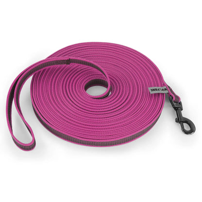 Dual-Color Latex Silk Dog Leash