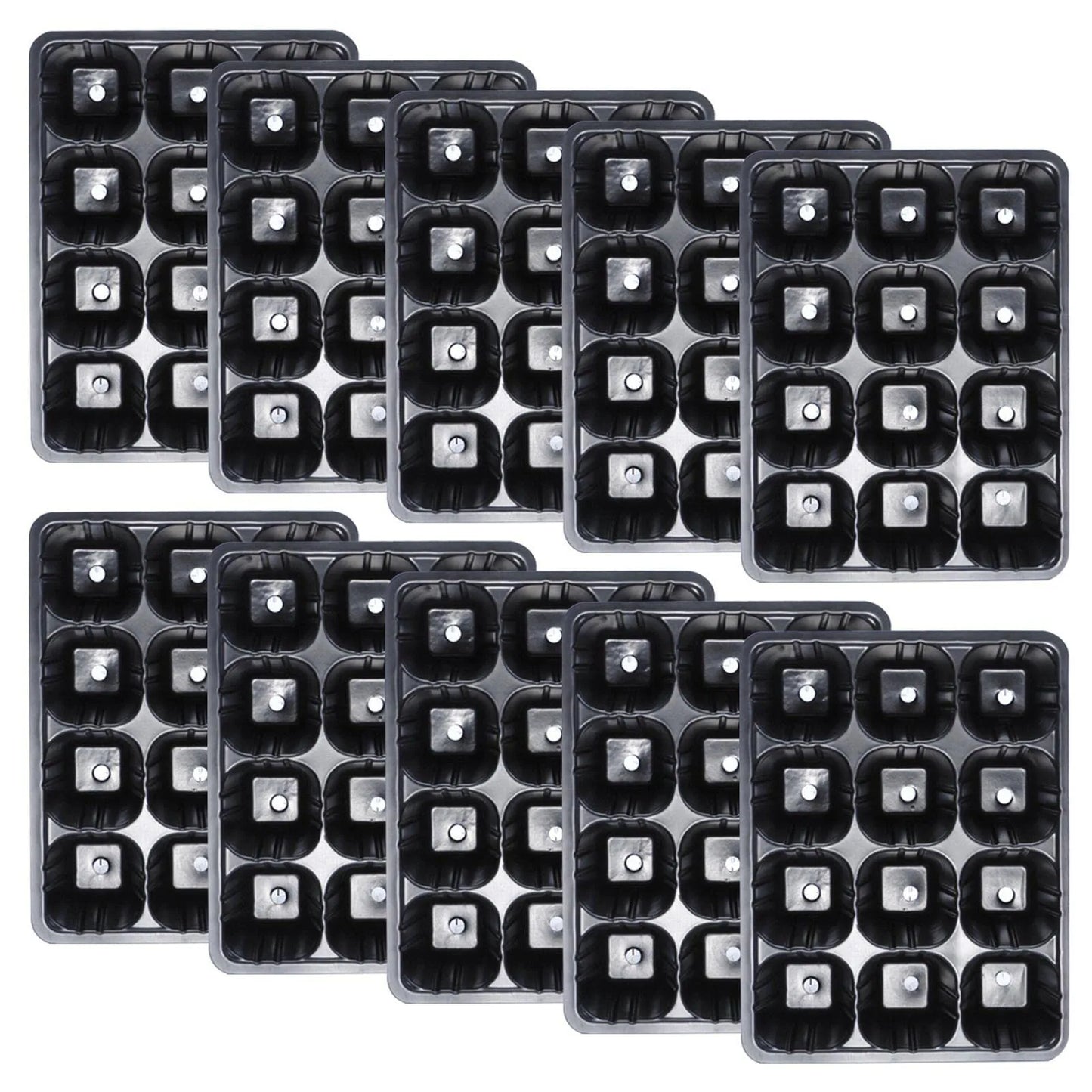 12-Hole Vegetable Seedling Tray